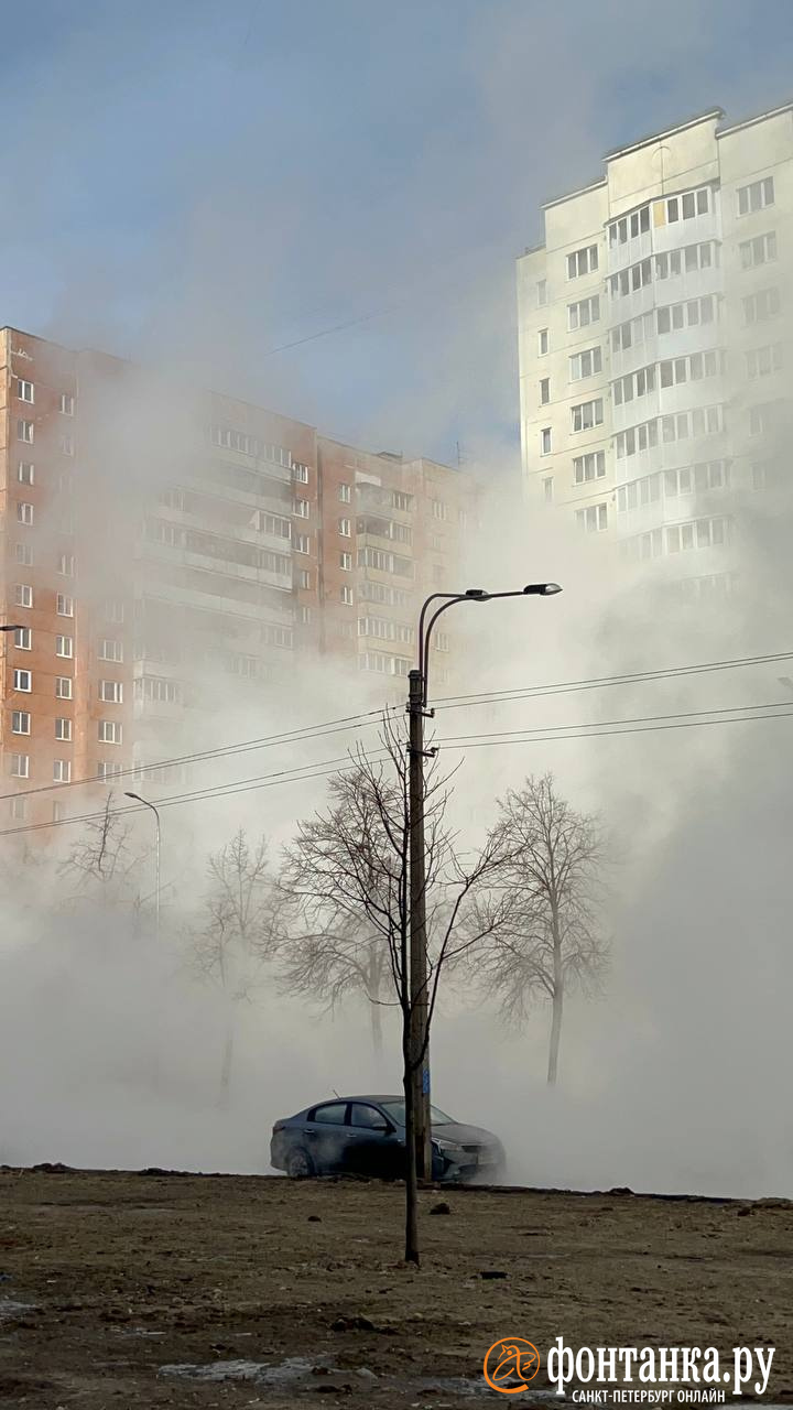 Пар окутал улицу Маршала Захарова. Проблема — под землей | 12.03.2024 |  Санкт-Петербург - БезФормата