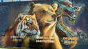 Тигр, медведь и дракон: мурал в честь поездок Владимира Путина в КНДР появился во Владивостоке