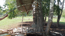 «Прятались под деревом в шалаше»: появились кадры с места, где подросток погиб от удара молнии в НСО