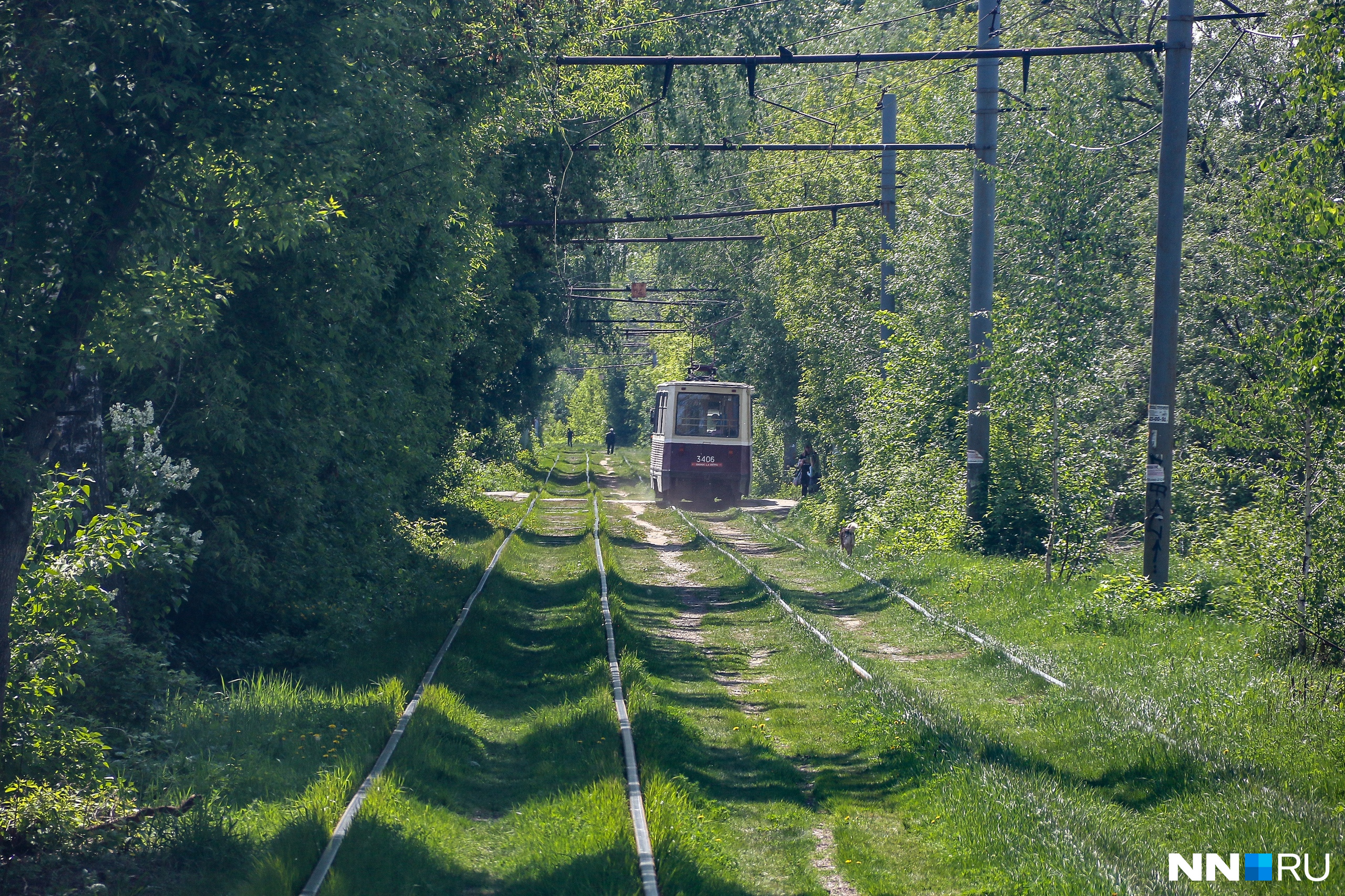 «Лесами, полями, огородами»: как выглядит живой Нижний из окна трамвая самого длинного маршрута
