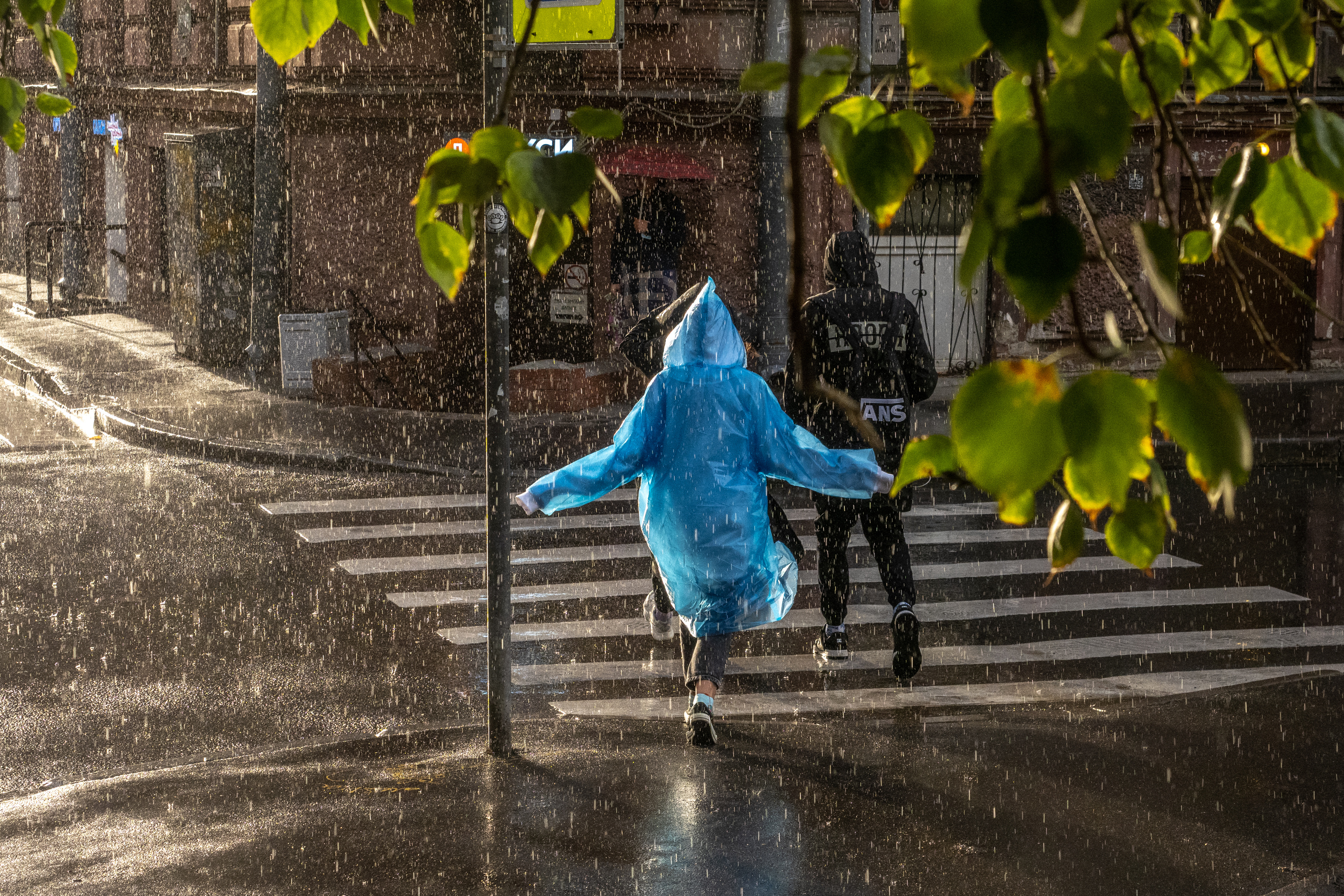 Питерский дождь. Какие бывают дожди. Какого цвета дождь. Питерский дождь фото.