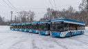 Для Новосибирска закупят 169 новых троллейбусов — когда их должны привезти