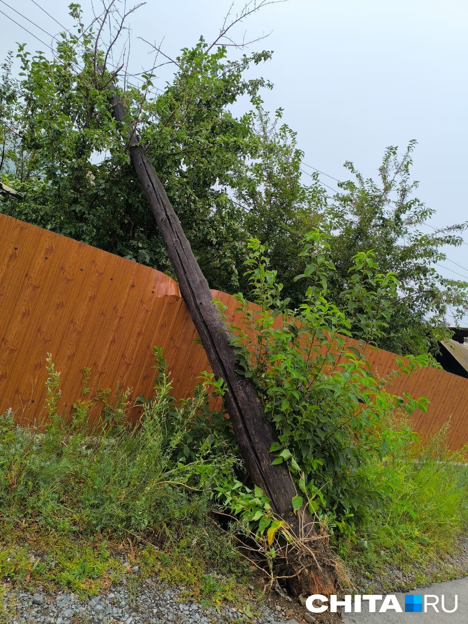 Сильный ветер повалил деревья, столбы и заборы в поселке Дарасун