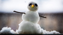 Пора переобуваться: первый снег в Новосибирске ожидают уже на следующей неделе
