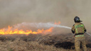 Высыпал золу и жег «порубочные остатки»: в Курганской области выросло число ландшафтных пожаров