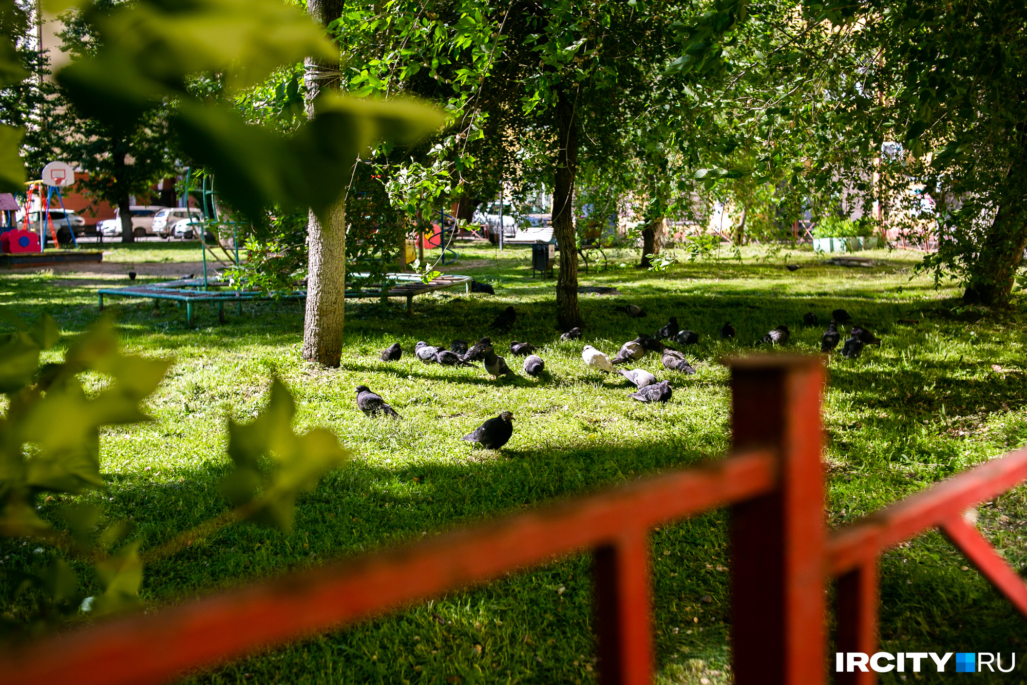 В центре двора — зеленая зона с детской площадкой и голубями, которые громко воркуют днями напролет. Здесь хорошо прятаться от летнего солнца и зноя В центре двора — зеленая зона с детской площадкой и голубями, которые громко воркуют днями напролет. Здесь хорошо прятаться от летнего солнца и зноя