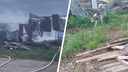 «Есть обожженные, сильно пострадавшие»: под Новосибирском вспыхнул дом с 30 собаками