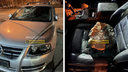 «Залез и пытался изнутри открыть дверь»: новосибирцу разбили окна в машине и украли госномер