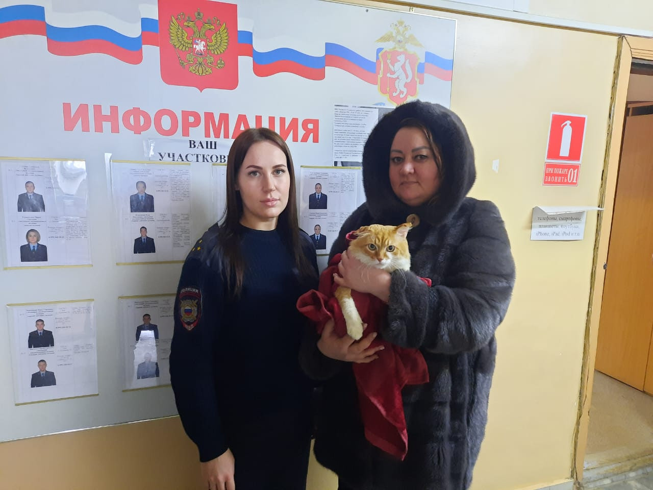 Рыжий спасен! Свердловская полиция забрала кота у живодера-блогера, который мучил его на камеру