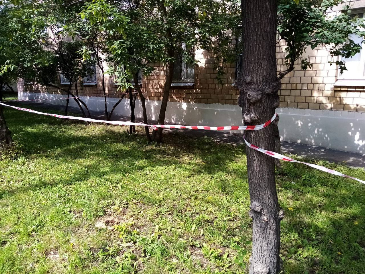 Годовалого ребенка в одном памперсе нашли лежащим на газоне в Москве Малыша