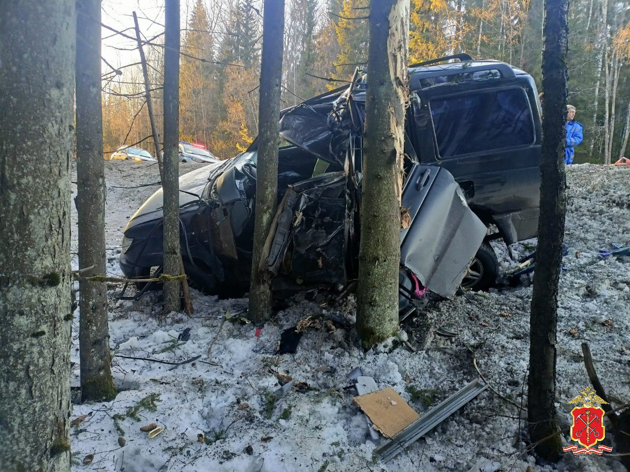 Фото смертельного ДТП с деревом в Ленобласти 5 марта - 6 марта 2024 -  ФОНТАНКА.ру