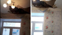 В Новосибирске дом, в котором рухнул потолок, признали аварийным и решили снести