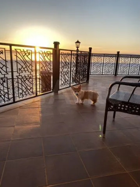 ...как и с балкона, можно даже подумать, что это фото сделано где-то за рубежом