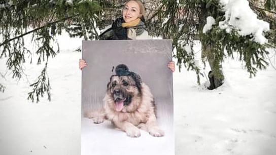 Красноярский фотограф продает снимок с бездомной собакой в стиле Vogue за миллион рублей
