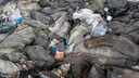 Два мусорных полигона закроют в Новосибирске — мэрия назвала сроки