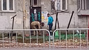 Рабочие заваривают двери обрушившегося здания на Нариманова