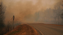Горит 4,8 тысячи гектаров леса: пожарные локализовали огонь в Приморье