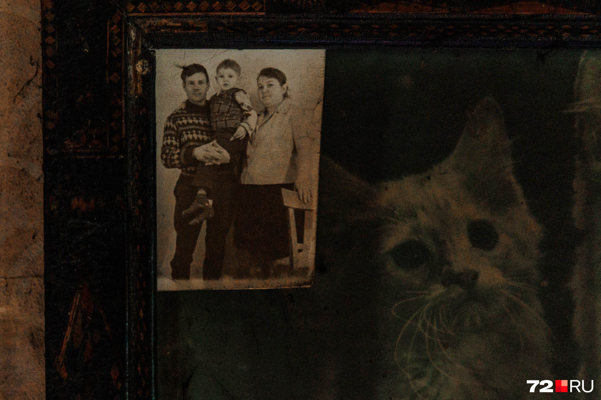 Мама, папа и маленький Павел. Фото прикреплено на снимок животных. Сейчас в доме тоже две кошки. Как и на картине