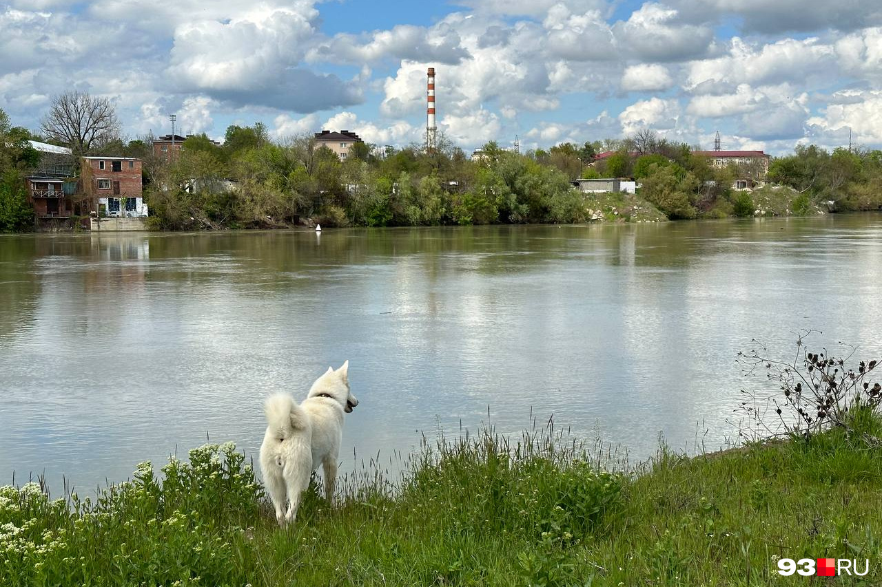 Почему в Краснодаре нельзя купаться в водоемах? Рассказали в мэрии - 4 июля  2023 - 93.ru