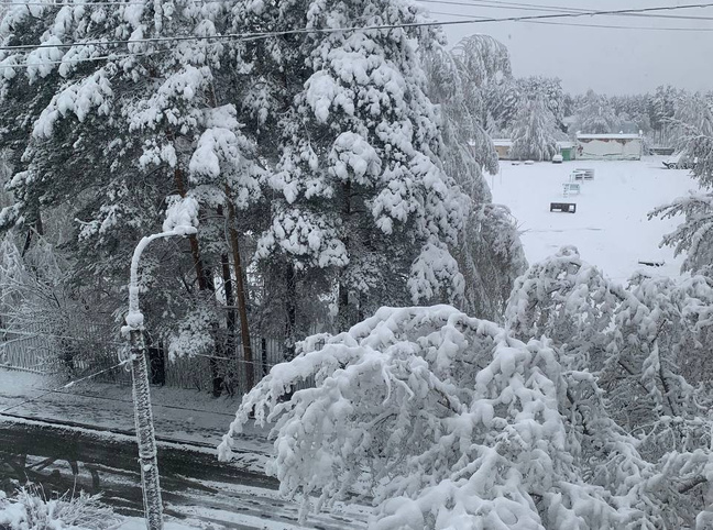 Такого не было 20 лет! Свердловскую область замело майским снегопадом, города остались без света: онлайн