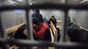 Мигрантов загнали в автозак: полиция устроила облаву на самарской овощебазе