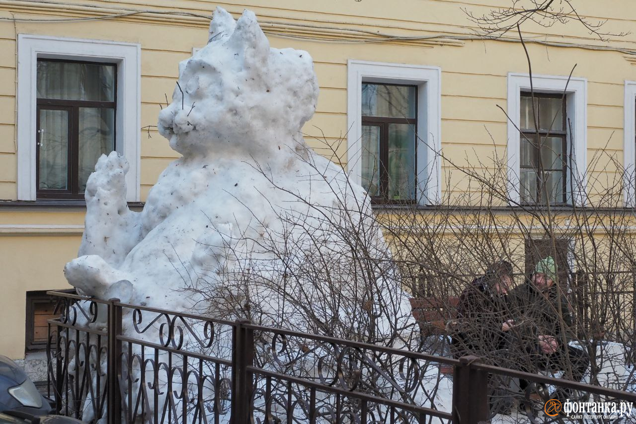 Прогноз погоды в Петербурге на сегодня и три дня, когда похолодает - 31  января 2024 - Фонтанка.Ру