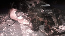 На новосибирской трассе столкнулись два автомобиля — в результате ДТП погибли две женщины