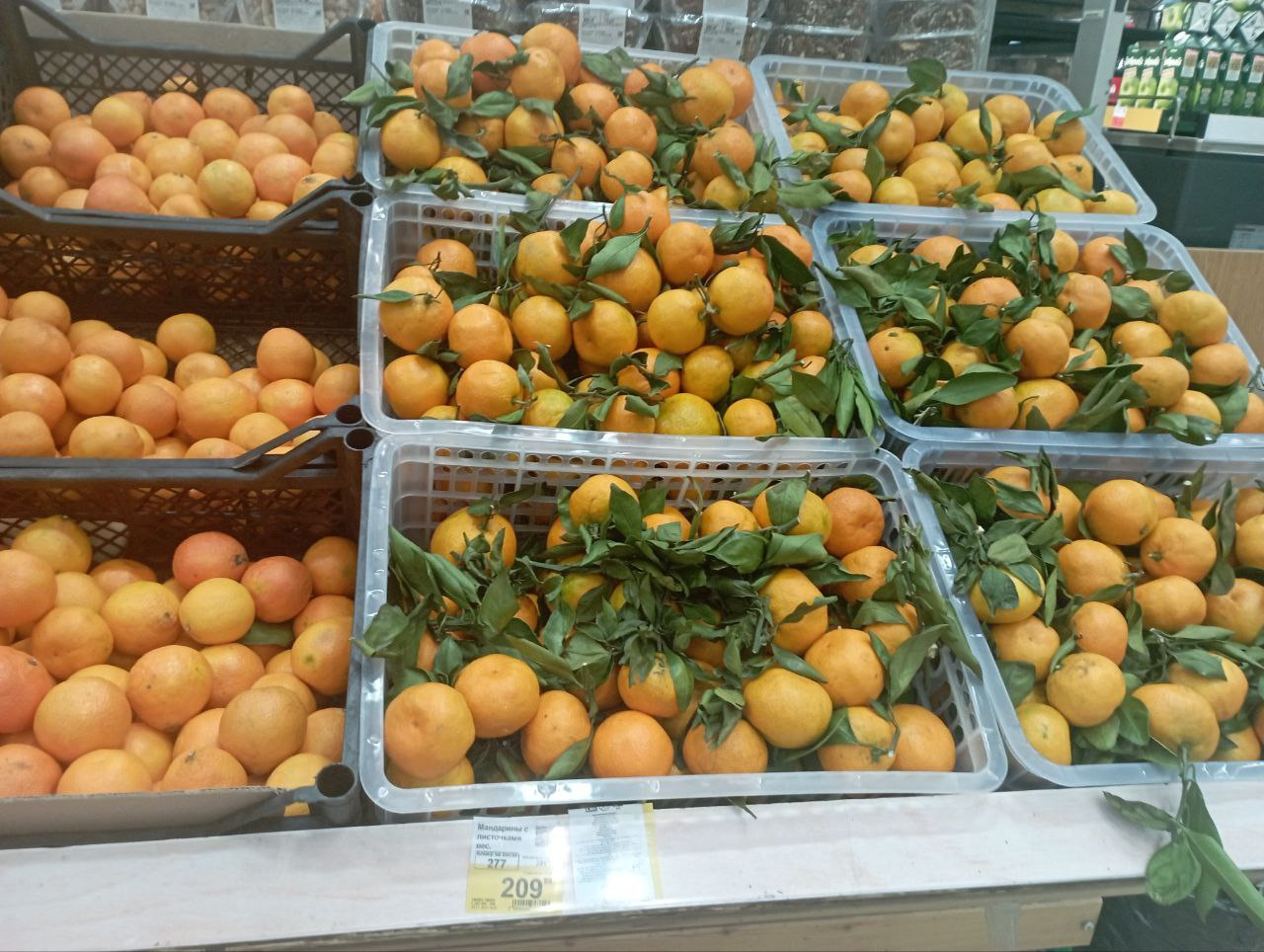 В «Ленте» самый широкий выбор мандаринов из всех гипермаркетов. Например, в «Марии-ра» в ЦУМе их не было вообще