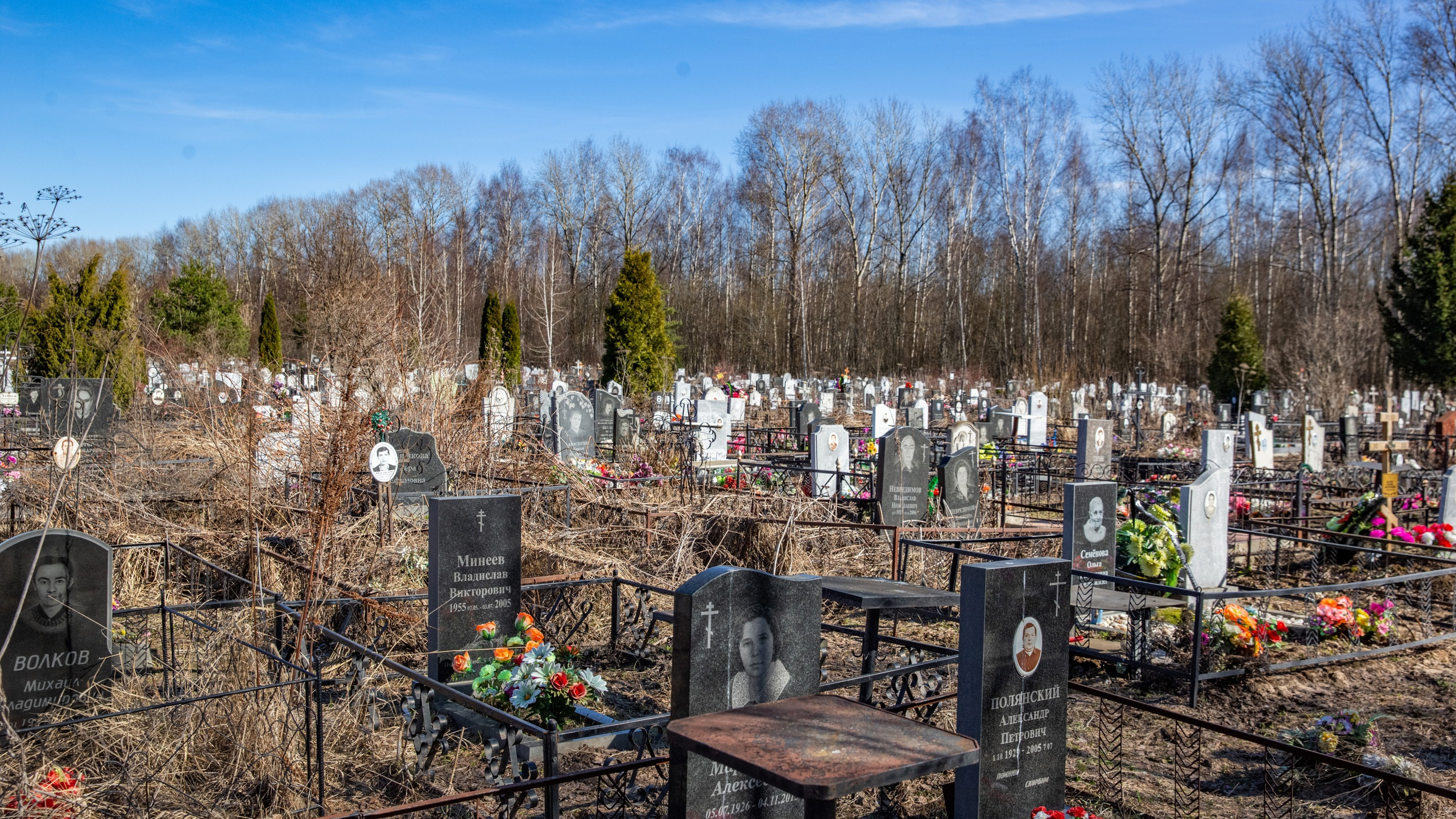 Похоронные войны в Ярославле: ритуальные компании обвинили городские организации в нечестной конкуренции