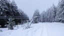 В 175 населенных пунктах Архангельской области пропало электричество из-за аварий