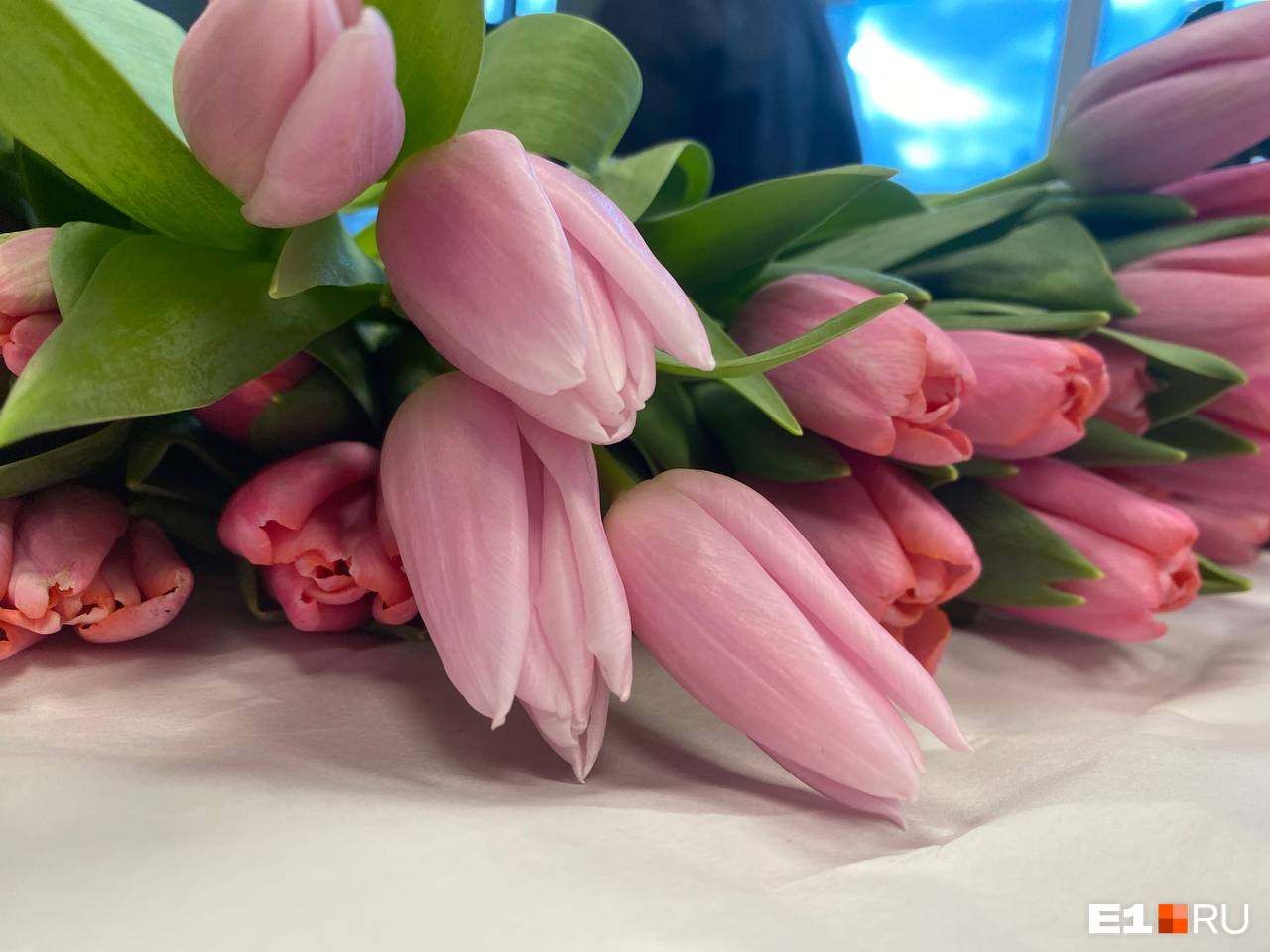 Все тюльпаны разобрали? Где и за сколько в Екатеринбурге купить цветы к 8 Марта