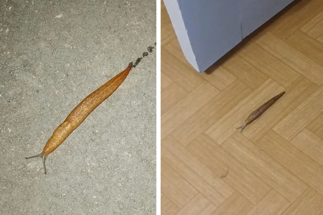 Расписание движения марш. Маршрут 104 автобуса расписание. Автобуса 1 3. Маршрутки 3с волгоград 2022. Расписание кременки серпухов.