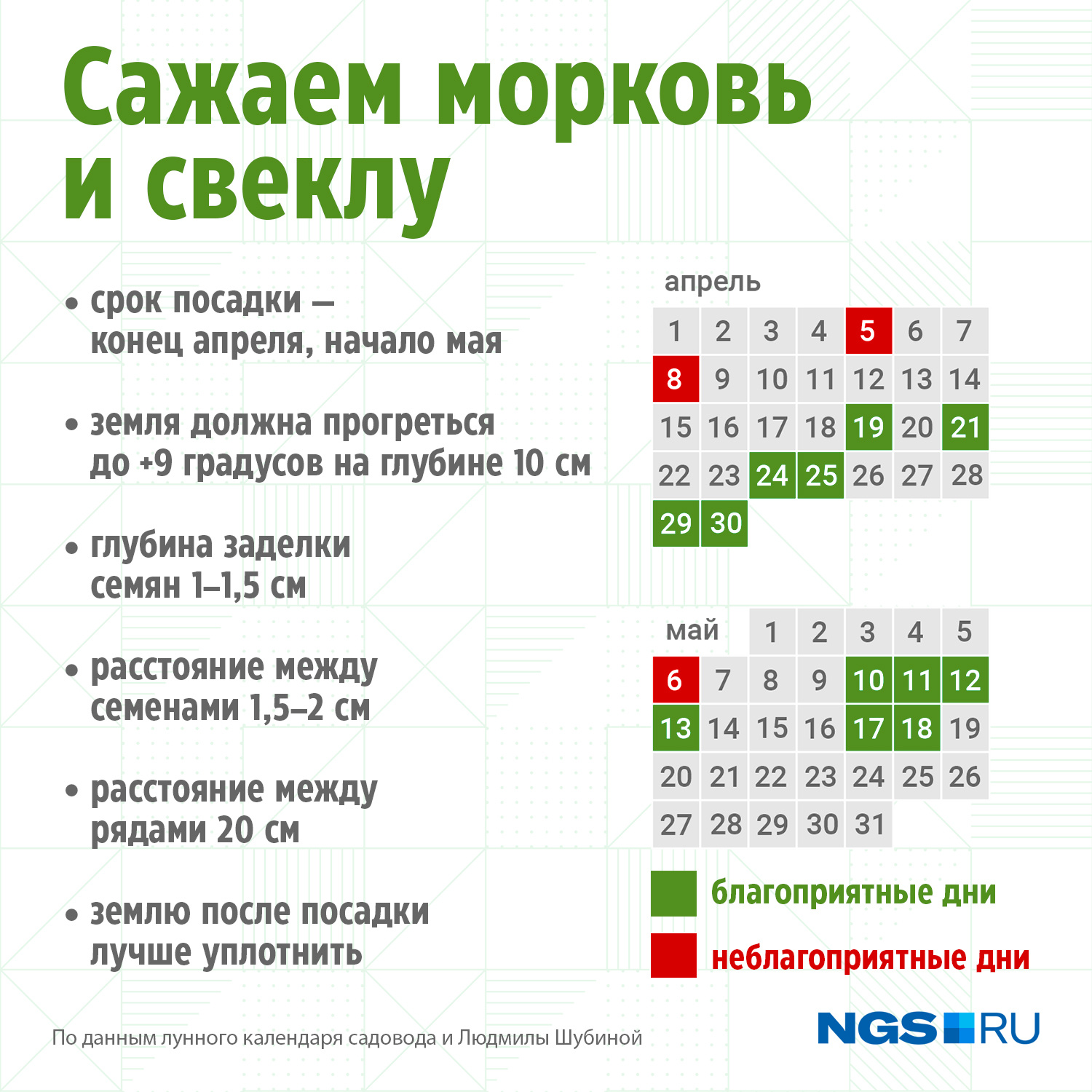 Когда сажать морковь и свеклу весной в открытый грунт: лучшие сорта моркови  и свеклы - 27 апреля 2024 - ФОНТАНКА.ру