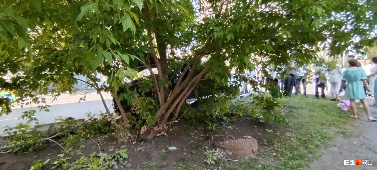 Был под чем-то? В Екатеринбурге водитель Hyundai врезался в дерево, задавил пешехода и собаку