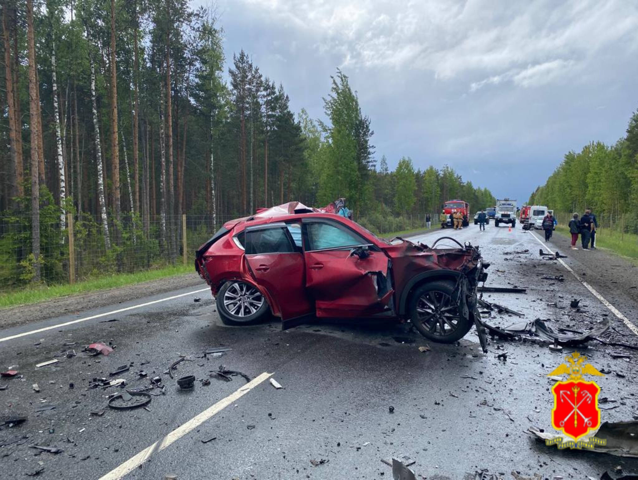 Таранил грузовик, тот задел автобус. Водитель легковушки погиб в страшном  ДТП на Коле | 03.06.2023 | Санкт-Петербург - БезФормата