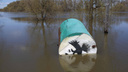 Эвакуируют с собаками, кошками и цыплятами: как спасают приморцев из затопленных домов