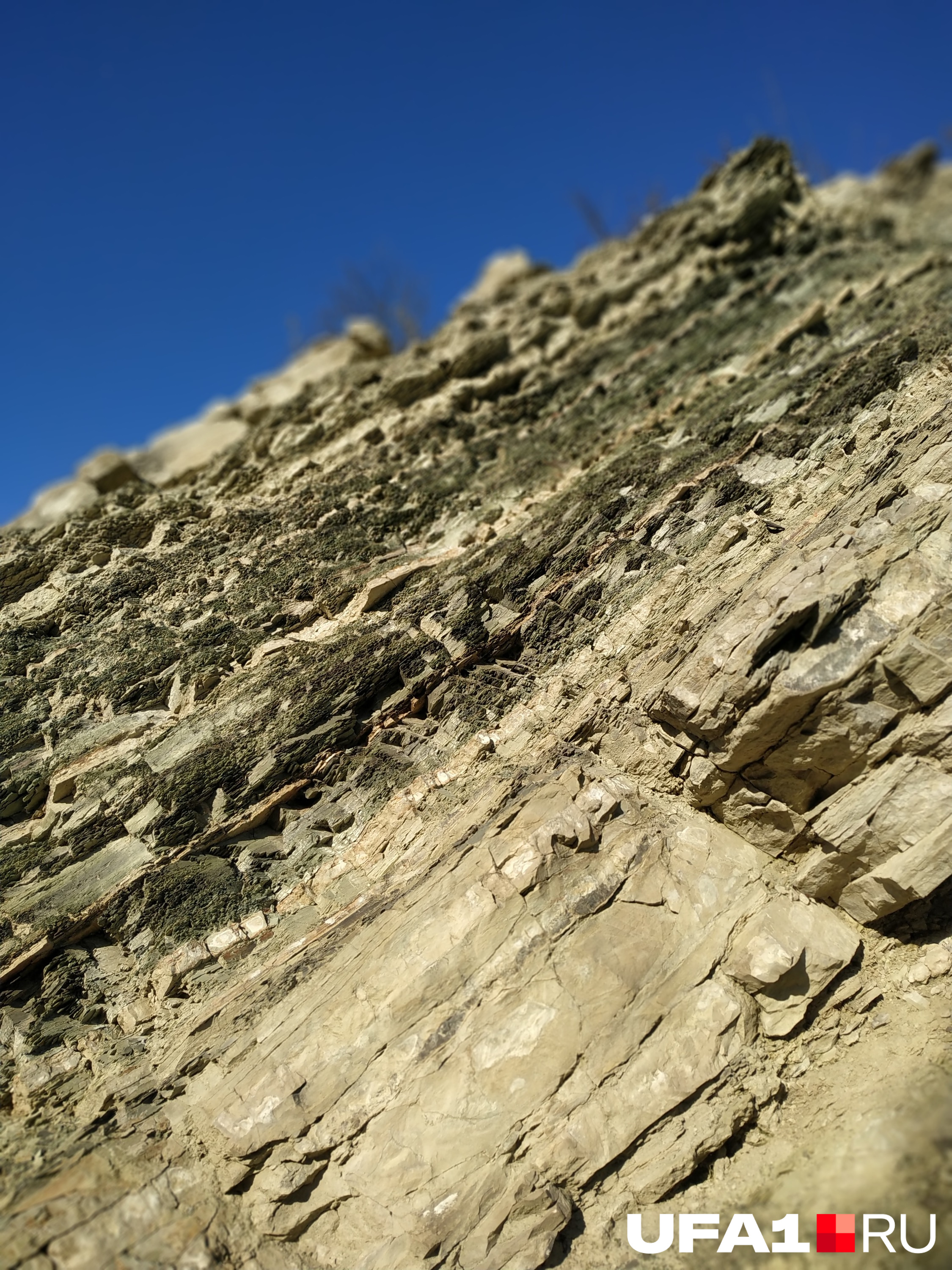 В скалах можно разглядеть древние окаменелости