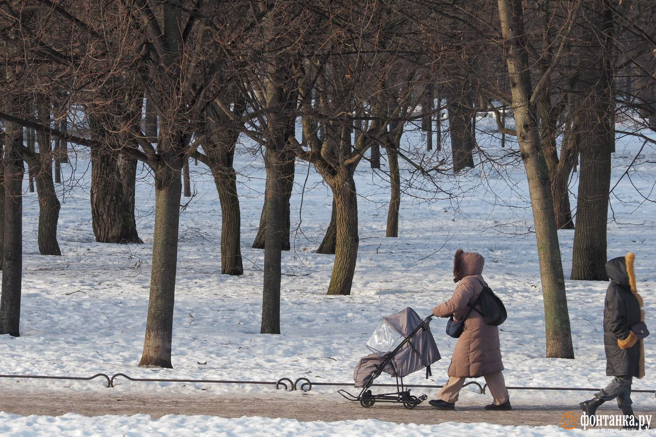 Температура в Петербурге пойдёт вниз, а норма — вверх. В среду покой нарушит новый циклон