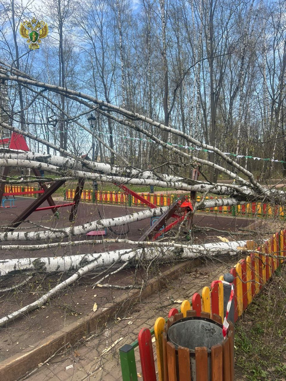 В Подмосковье огромная береза упала на двухлетнюю девочку на детской  площадке - 21 апреля 2024 - ФОНТАНКА.ру