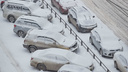 Засыпало по уши: Новосибирск накрыл снегопад — смотрим, как город справляется с осадками