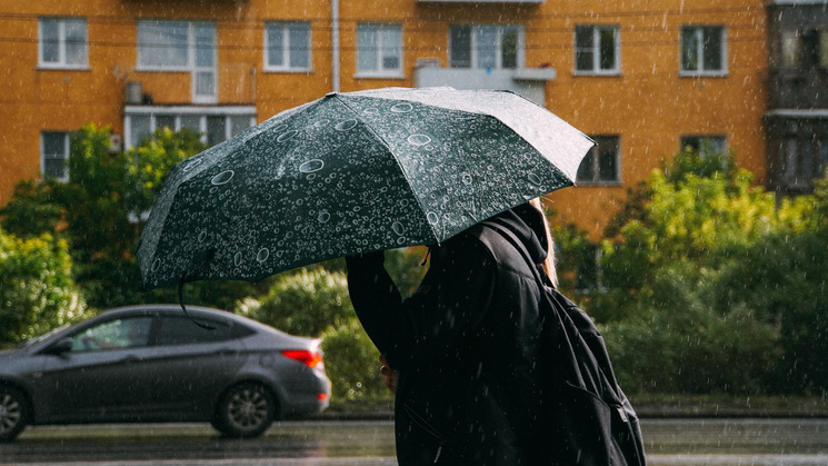 Дожди и температурные качели: какая погода ожидает жителей Омской области — смотрим прогноз синоптиков