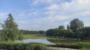 «Обещали снести незаконную дамбу — и тишина»: река Плющиха возле нового жилмассива в Новосибирске снова заболачивается