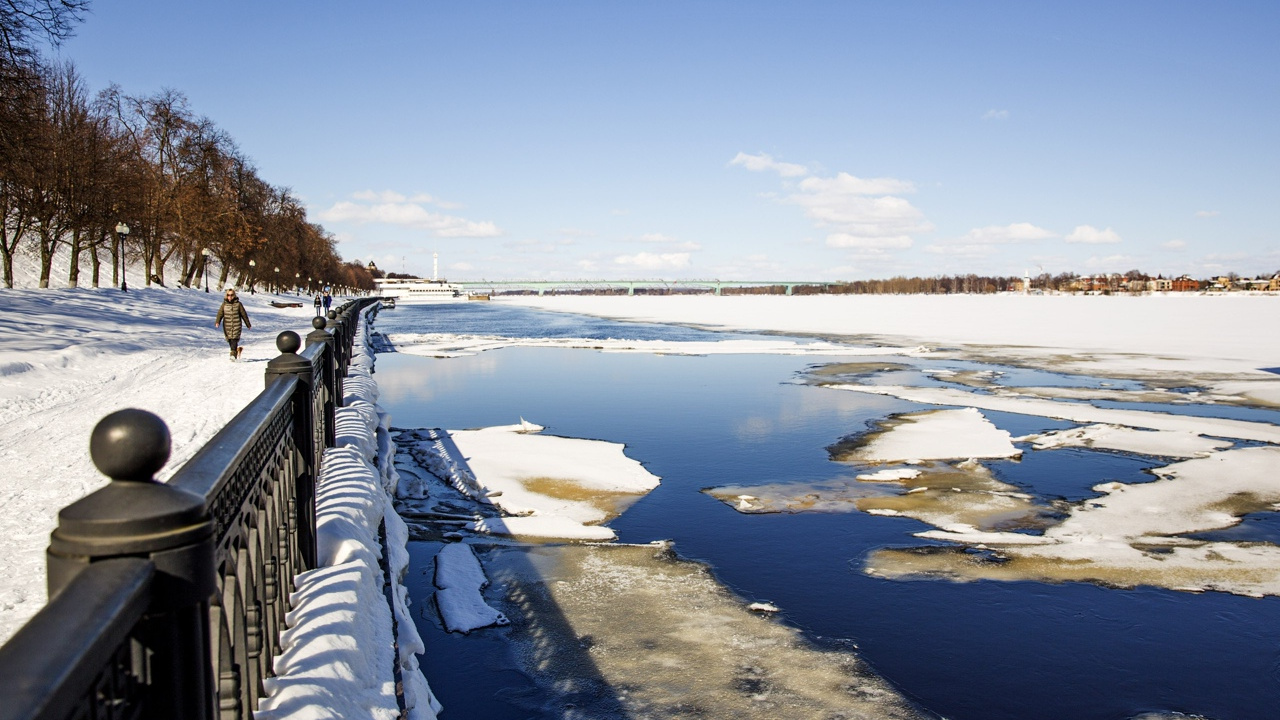 «Потеплеет до +13 °C»: синоптики предупредили о сырой погоде в Ярославской области