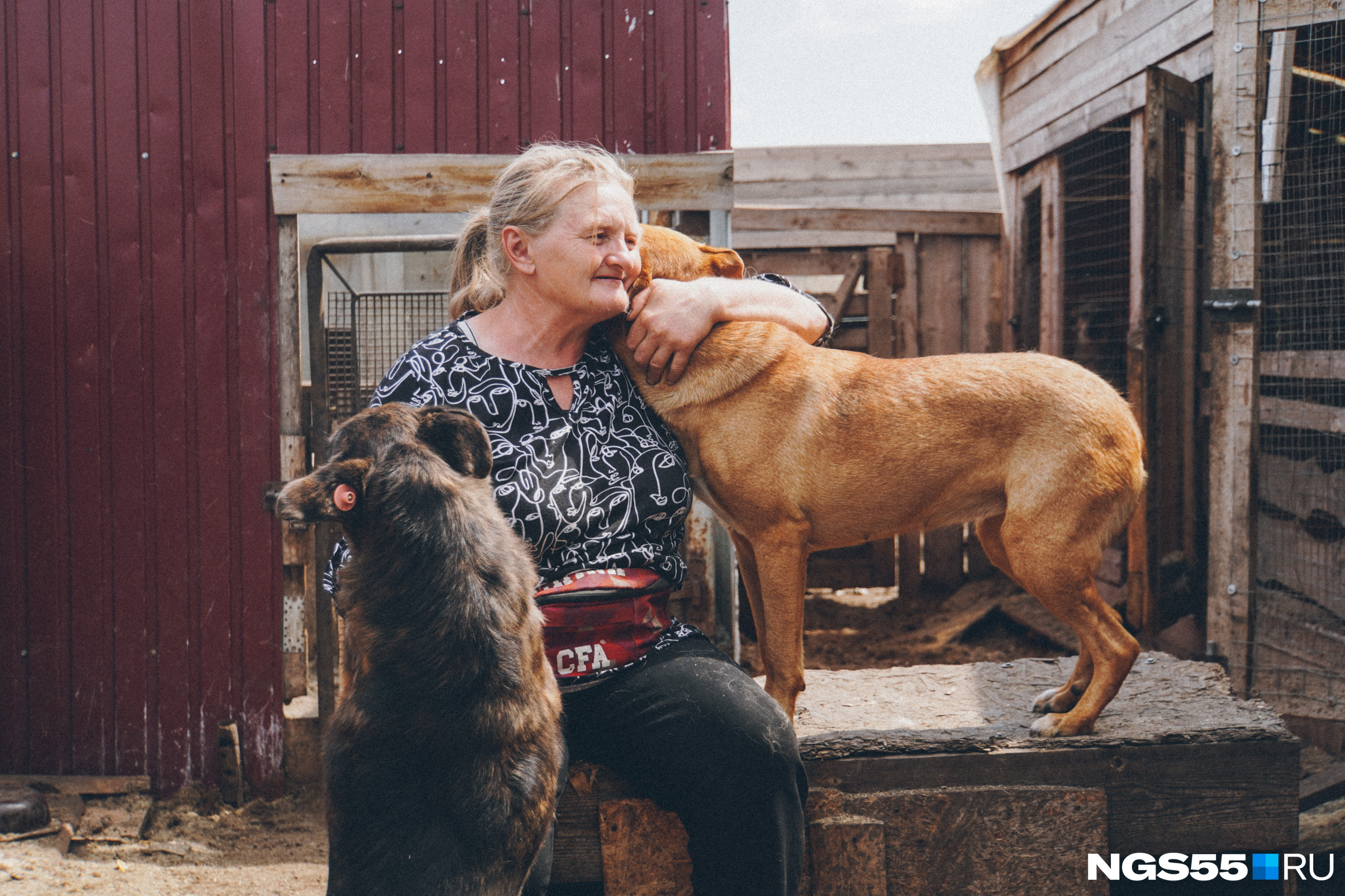 58-летняя Ирина Усова обнимает спасенных ею собак. Женщина в селе в одиночку <a href="https://ngs55.ru/text/animals/2023/08/01/72551141/" class="_" target="_blank">умудрилась создать полноценный приют для животных</a>, в котором содержится уже 121 брошенный на произвол судьбы друг 58-летняя Ирина Усова обнимает спасенных ею собак. Женщина в селе в одиночку <a href="https://ngs55.ru/text/animals/2023/08/01/72551141/" class="_" target="_blank">умудрилась создать полноценный приют для животных</a>, в котором содержится уже 121 брошенный на произвол судьбы друг