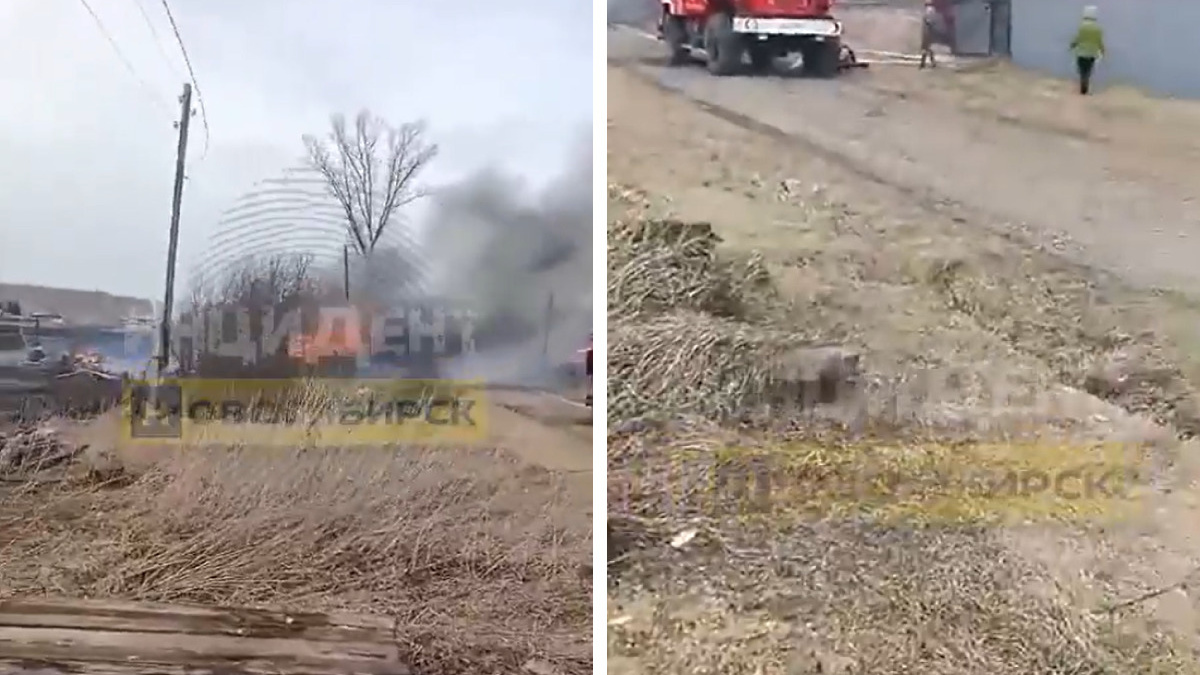 «Вся деревня горит»: в Мошковском районе огонь окружил поселок — видео с пожара