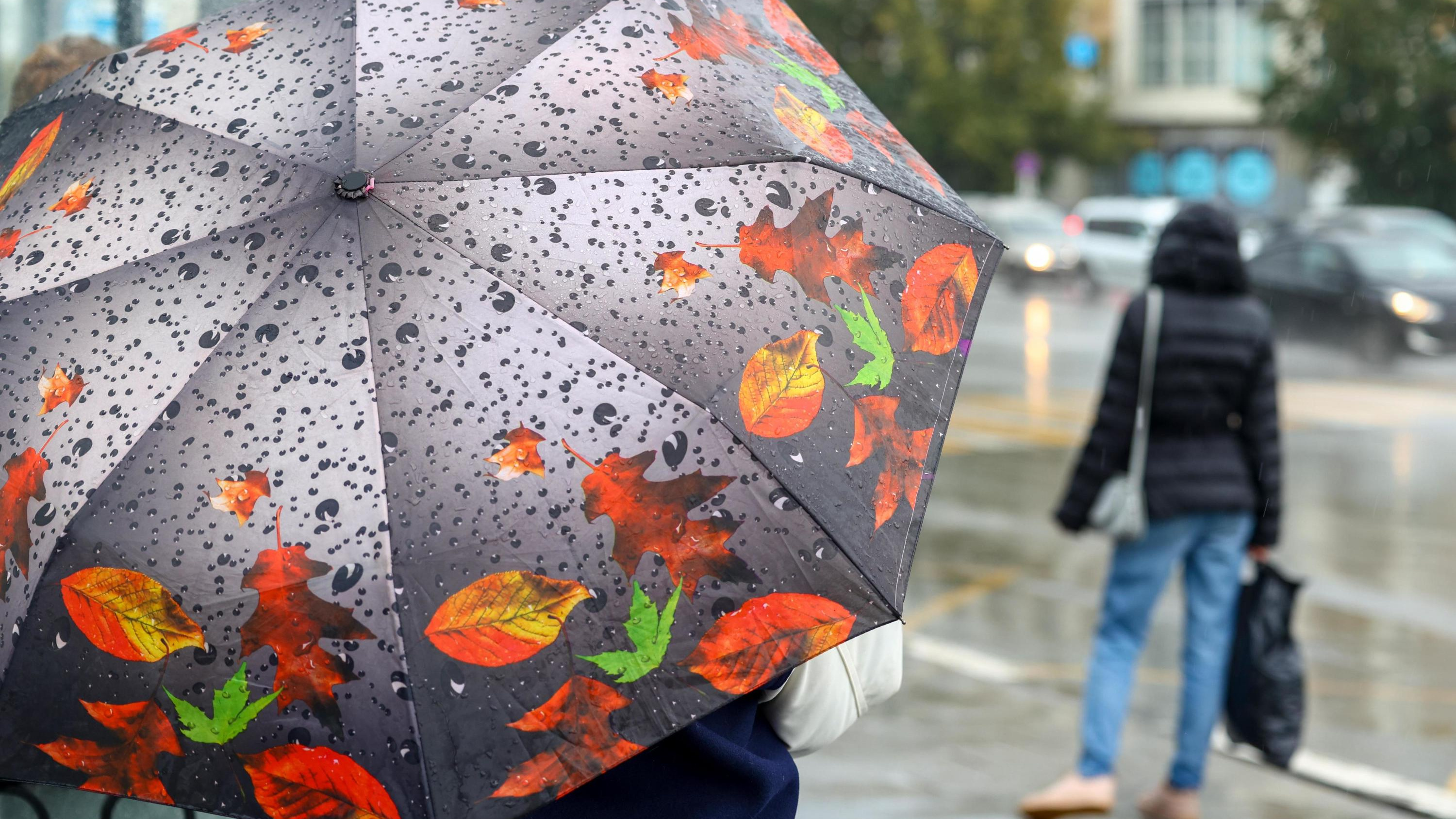 Достаем зонты и шапки: выходные в Югре будут дождливыми и снежными