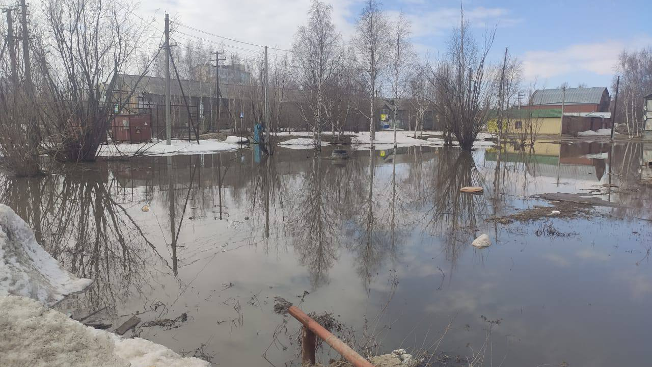 «Так уже целый месяц». В Нефтеюганске несколько дворов затопило фекалиями