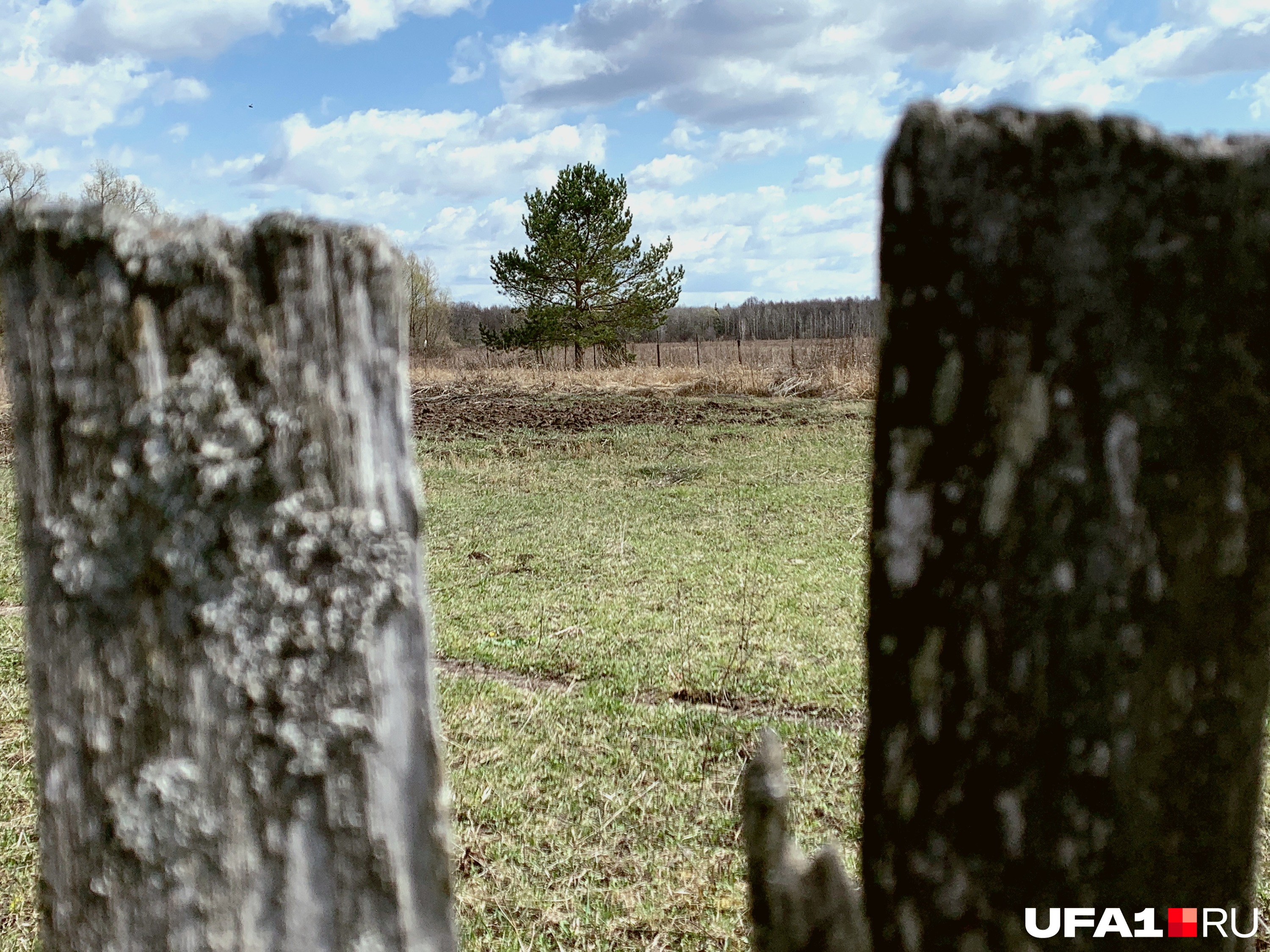 За этим участком — лес, а за лесом — река, а за рекой — Нуримановский район, а там — дорога на Павловскую ГЭС