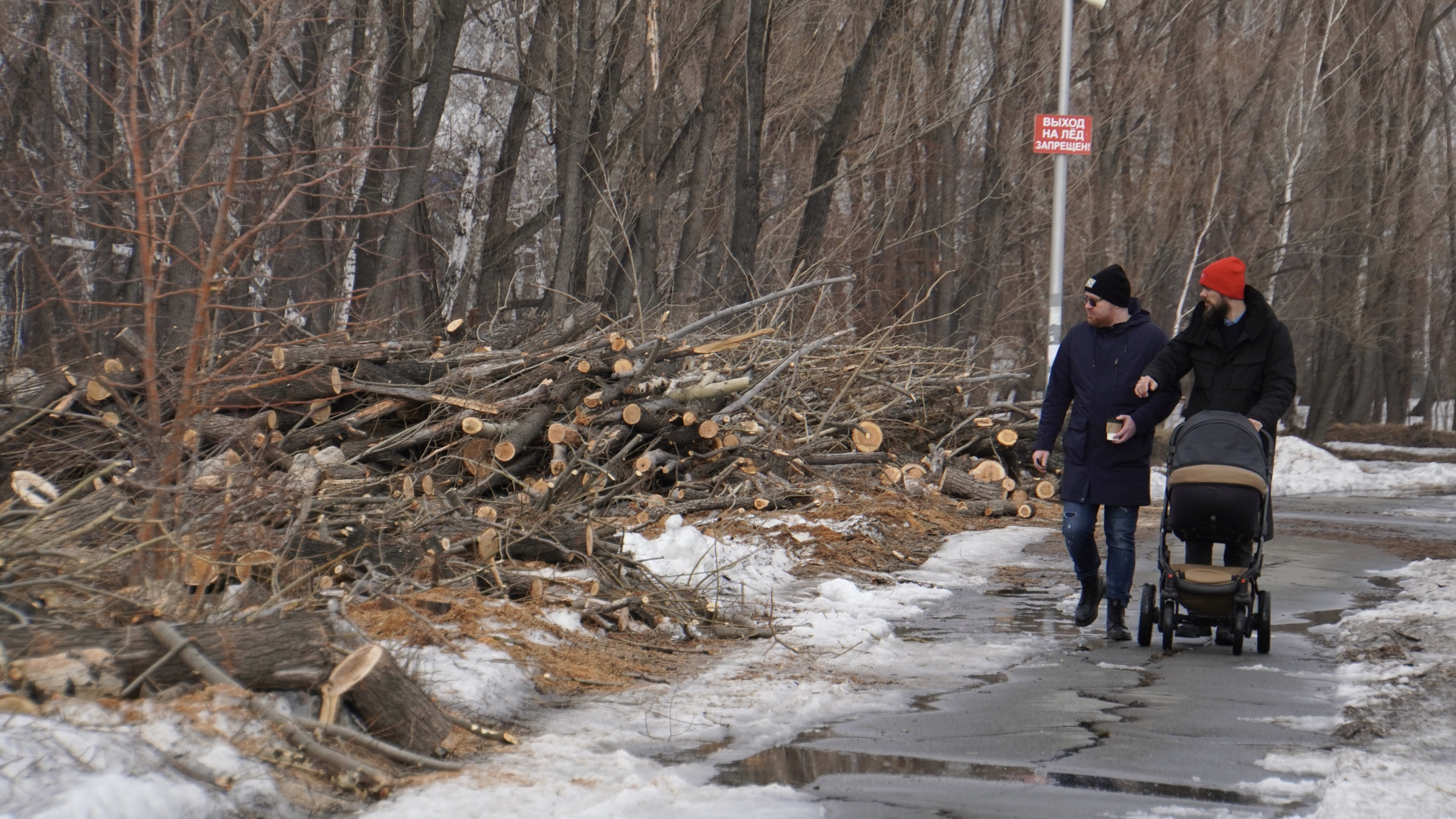 В омском парке <nobr class="_">30-летия</nobr> ВЛКСМ снесли деревья (это сделали не ради ТЦ)