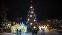 Зависят от погоды: стали известны сроки установки главной новогодней елки в Новосибирске